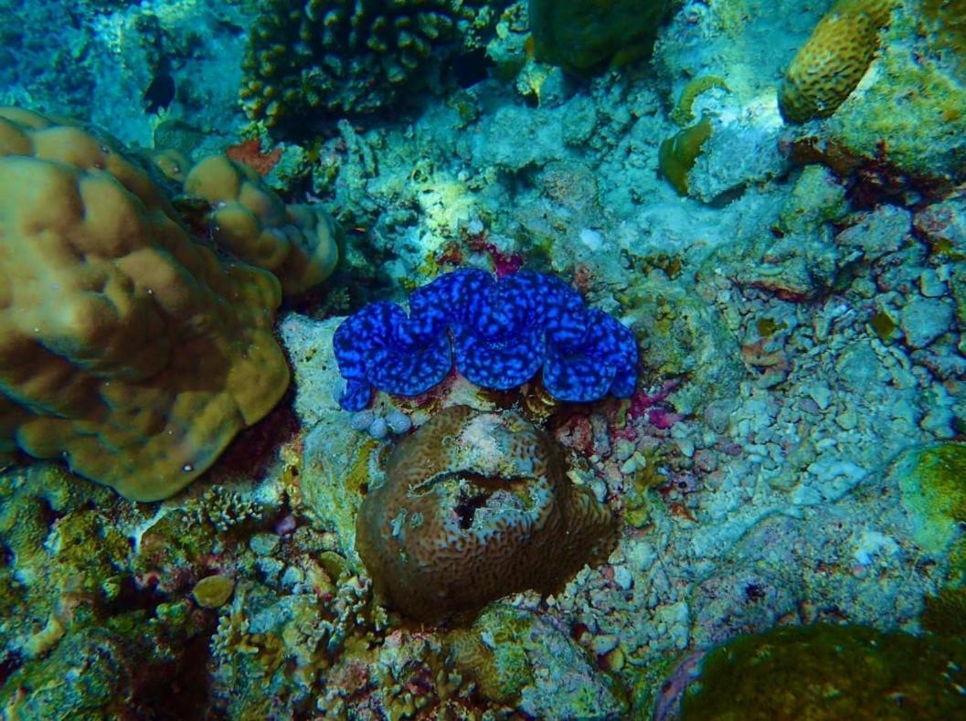 Ras Village Rasdhoo Екстериор снимка