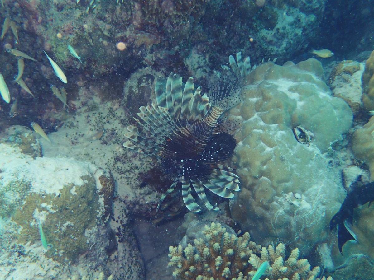 Ras Village Rasdhoo Екстериор снимка